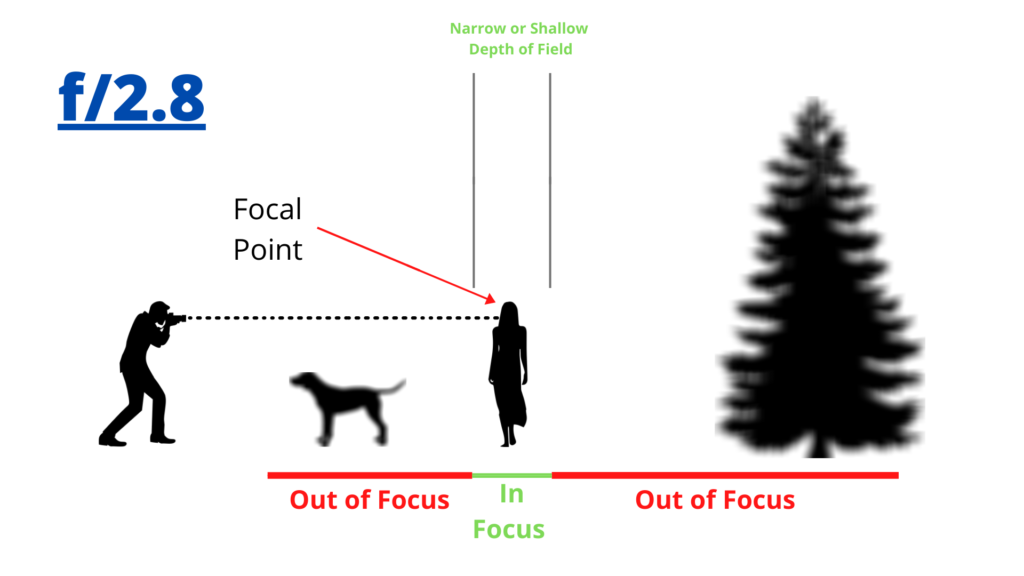 What is Aperture in Photography