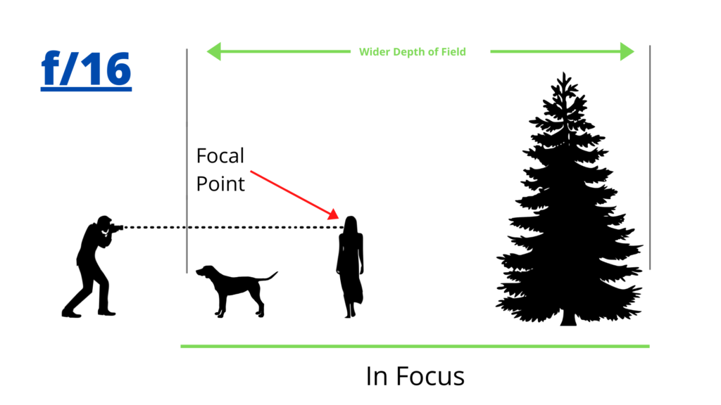 What is Aperture in Photography