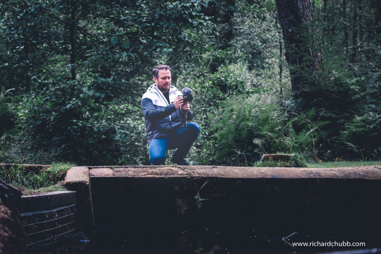 Bolderwood Deer Sanctuary – In the Field