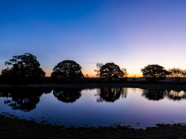 Mogshade Pond Photography