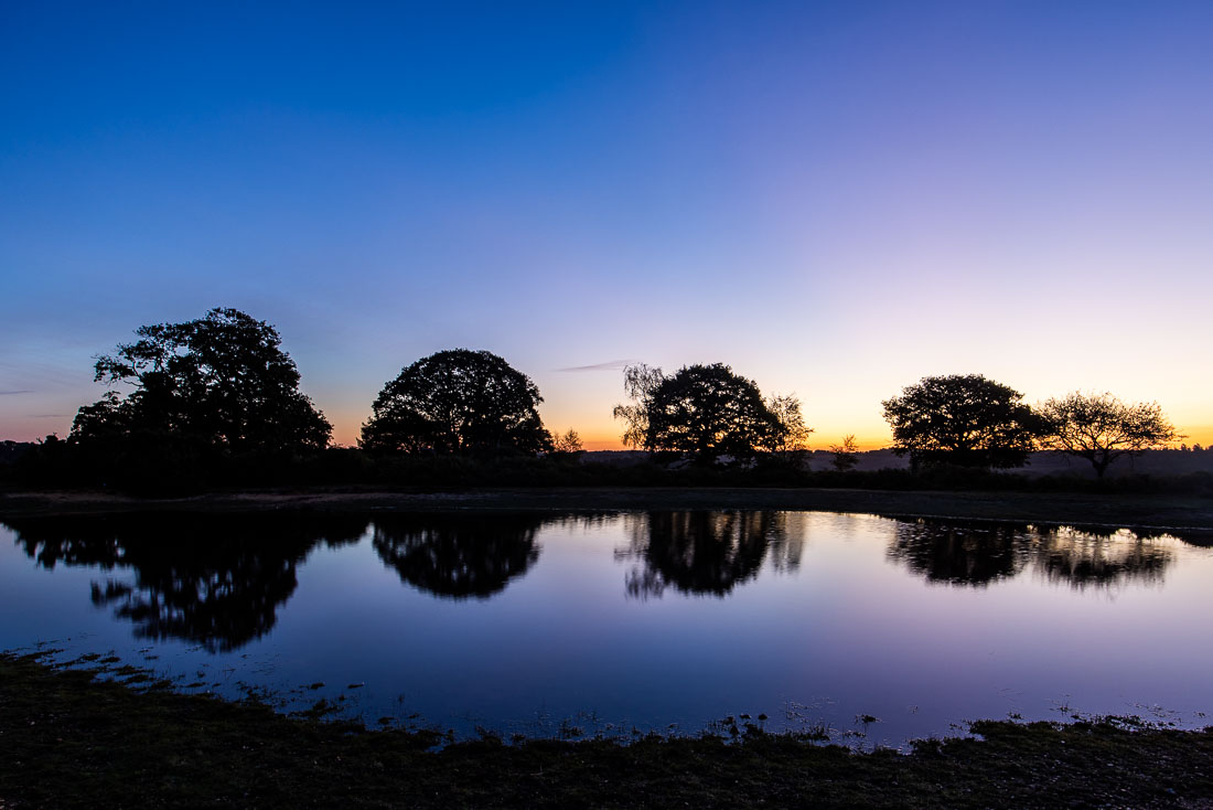 Mogshade Pond Photography