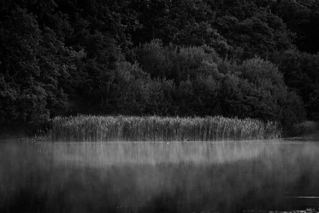 Photography with no plan