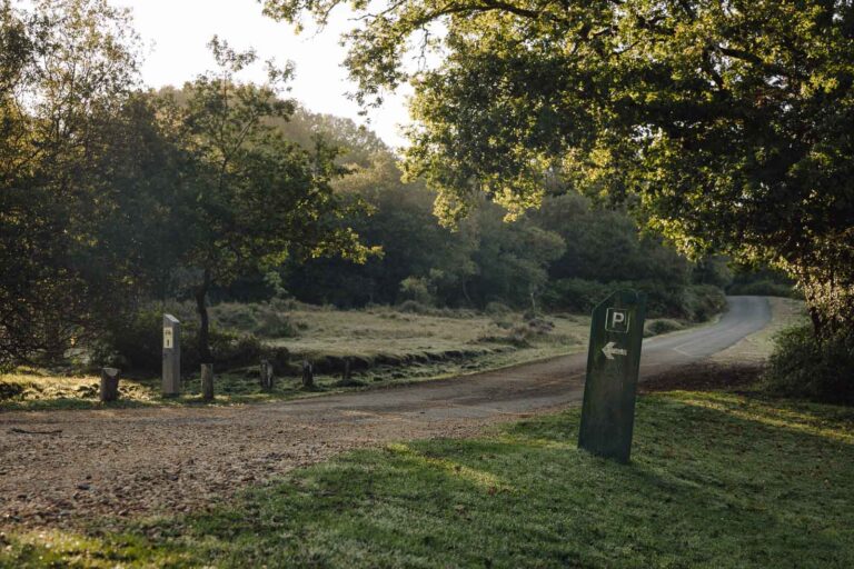 Sometimes Magic Happens: My Best Photo in Ages, Totally Unplanned