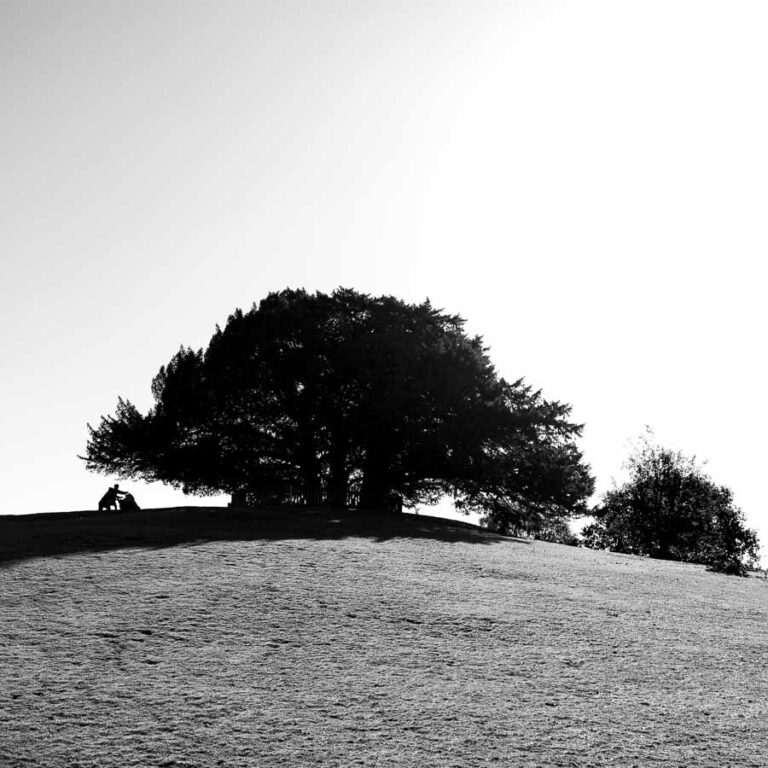 Lyndhurst Photography: Camera and Coffee Adventures in the New Forest