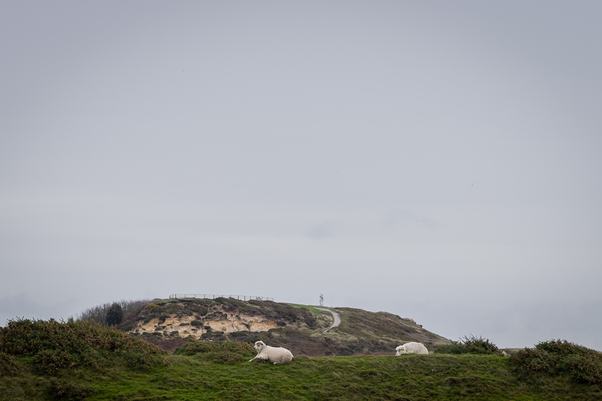 Hengistbury Head, Hengistbury Head Photo walk