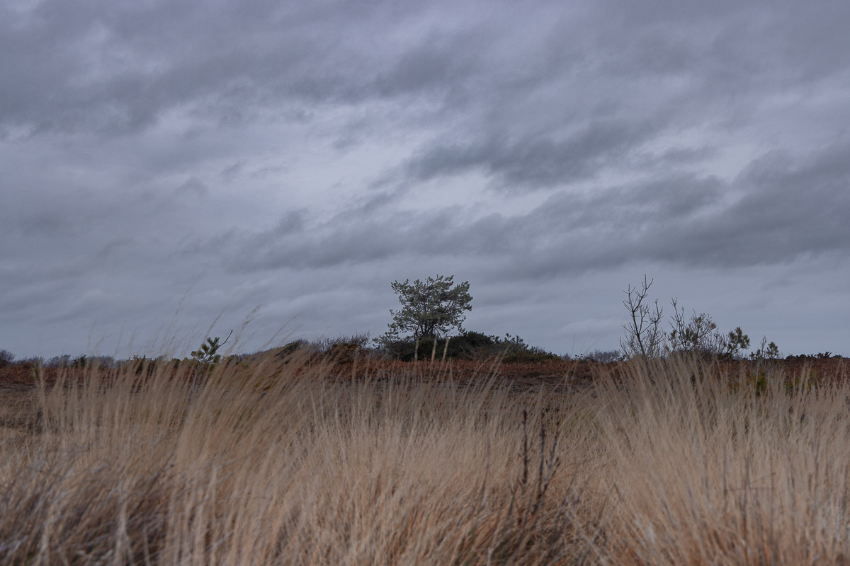 Hengistbury Head, Hengistbury Head Photo walk