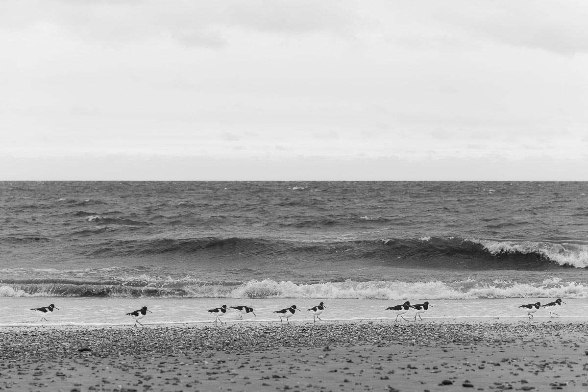 Hengistbury Head, Hengistbury Head Photo walk